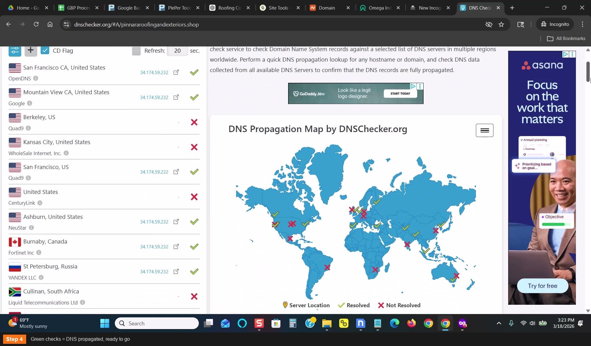 Green checks = DNS propagated, ready to go